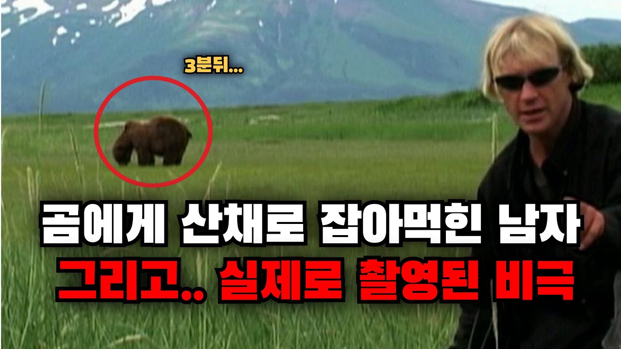 야생곰과 함께 살 수 있다고 자신한 곰 애호가의 잔인한 최후, 그리고 켜져있던 카메라 :: Timothy Treadwell 사