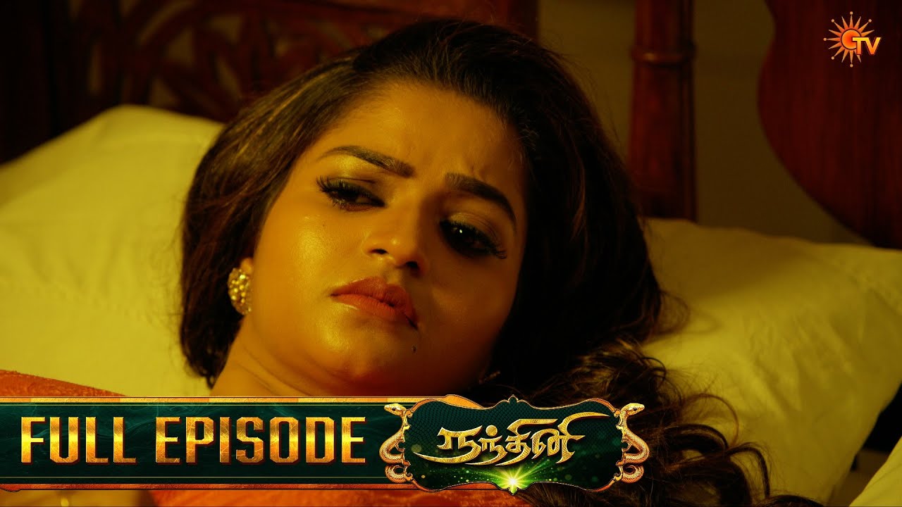 Nandhini - நந்தினி | Episode - 217 | Tamil Serial | Sun TV