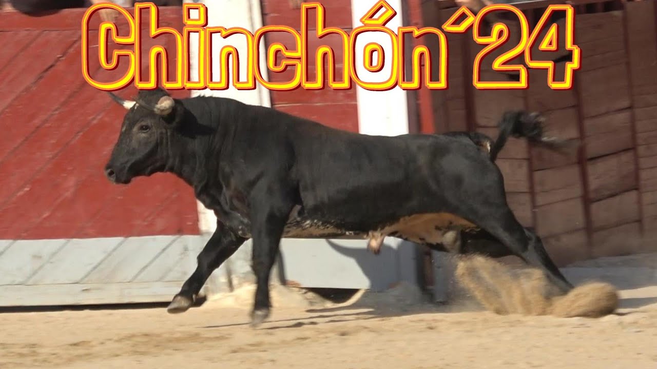 Encierro y capea en Chinchón, 25 de julio 2024