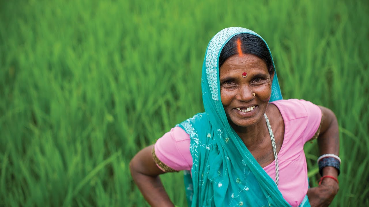 Empowering Women in Agriculture: Rural Women-led Vegetable Farming Project