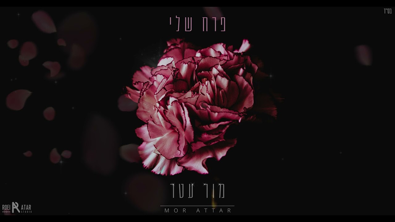 פרח שלי - מור עטר | קאבר כניסה לחופה