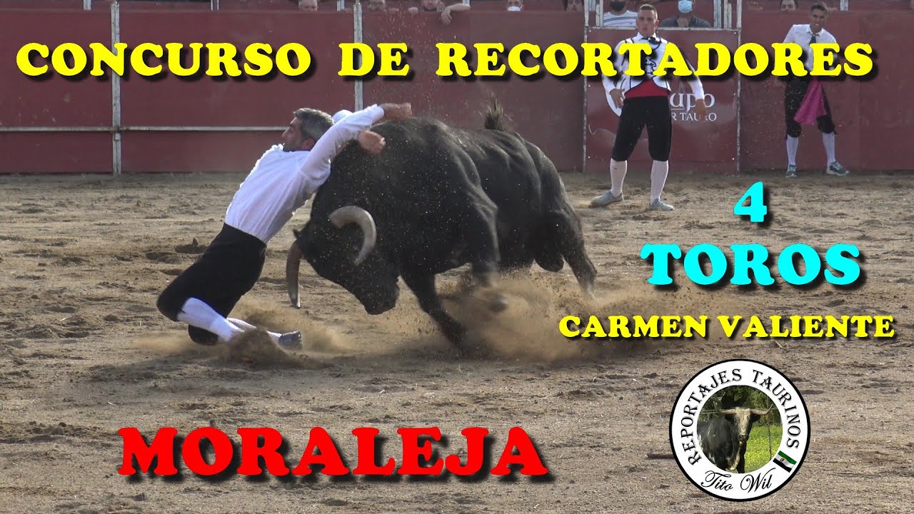 ESPECTACULAR CONCURSO DE RECORTADORES EN MORALEJA (CACERES) 9-10-2021