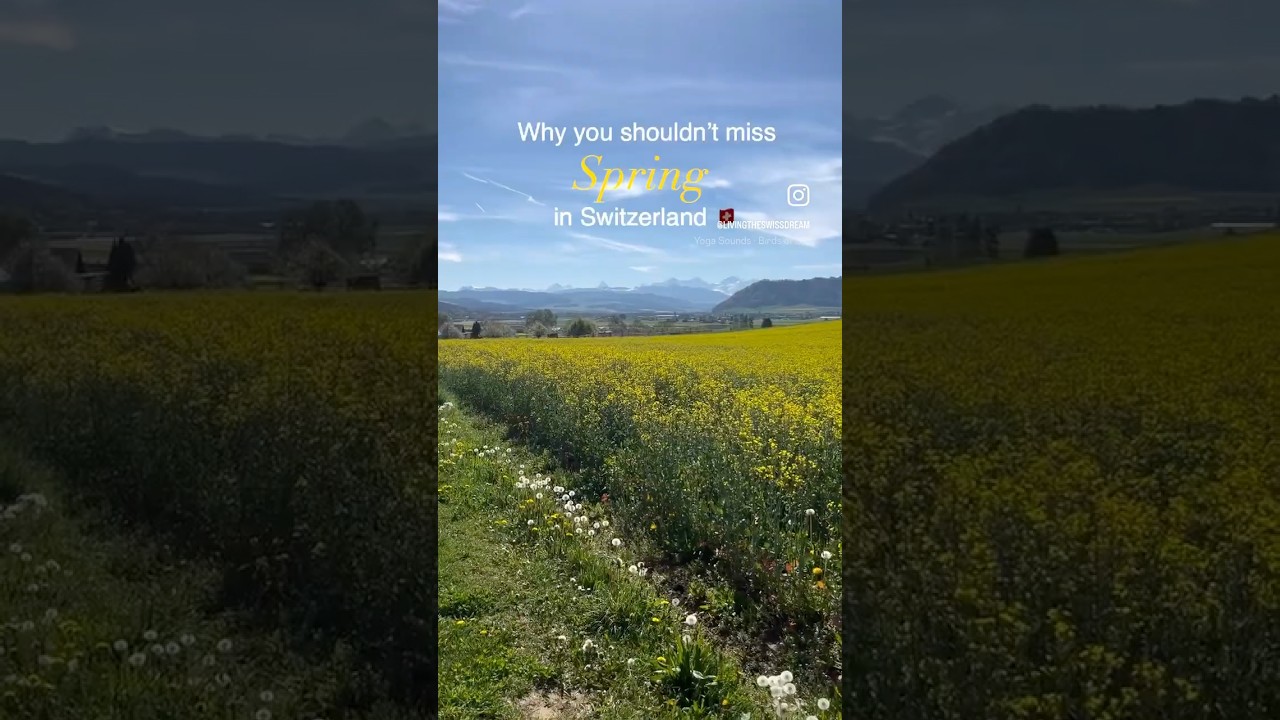 Don't miss SPRING in Switzerland! 🫶🏻🌸