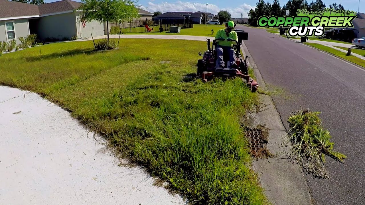 $45 An Hour Mowing Tall Grass