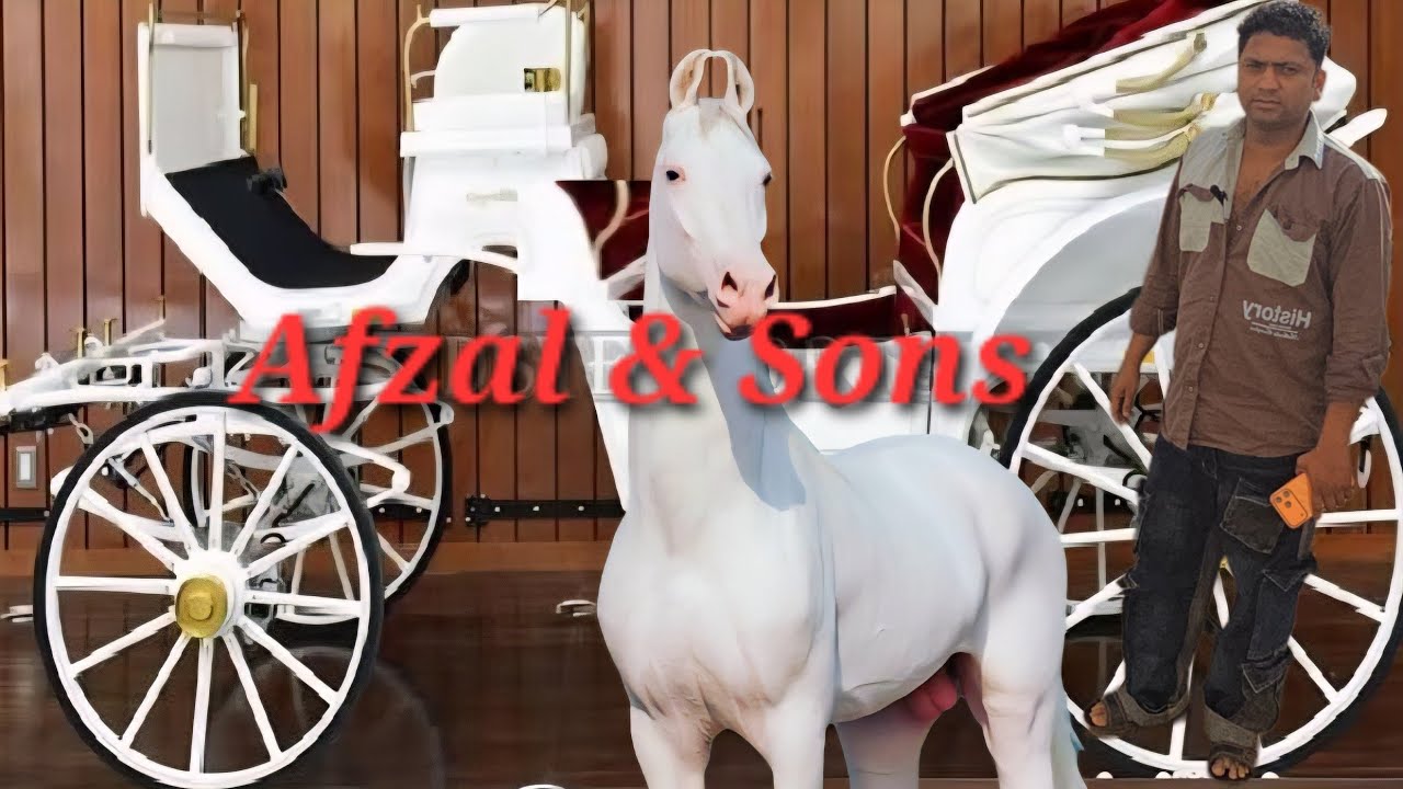 Royal Baggi Horse Carriage Available For All Events Functions & Party at Afzal & Sons Jumerat Bazar