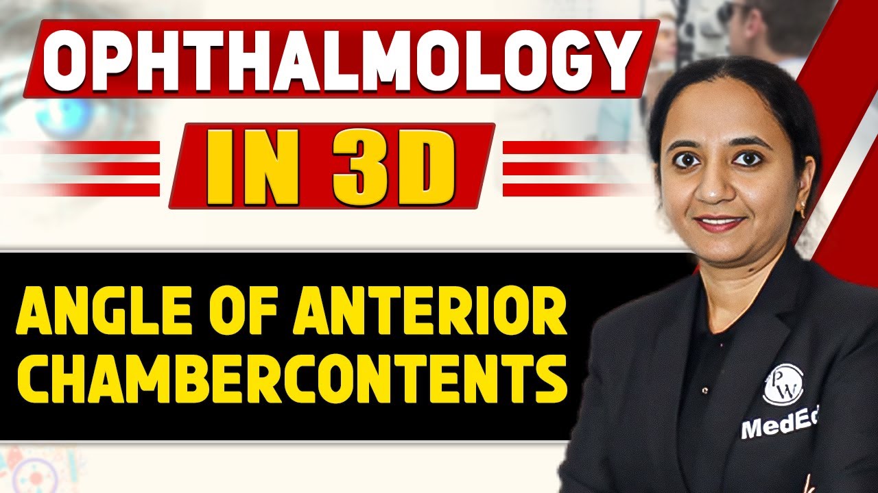 Angle of Anterior Chamber - Ophthalmology in 3D | MBBS | Dr. Sudha