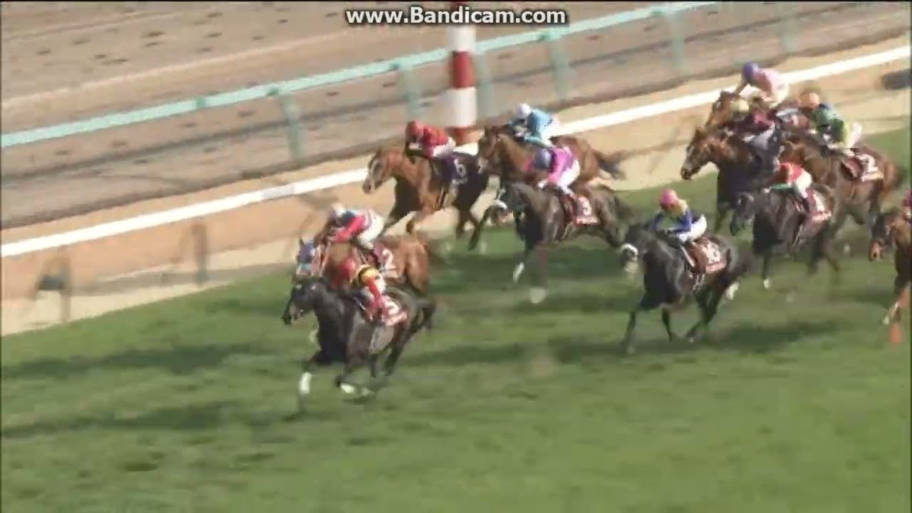 2013 スプリングＳ(GII)　ロゴタイプ