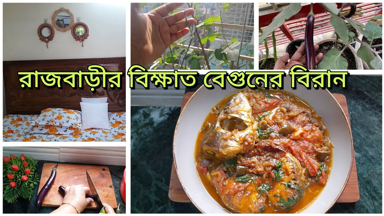 দিনের শুরু থেকে শুরু করলাম। গাছের বেগুন দি বেগুনের বিরান রান্না করলাম। #plz_subscribe 