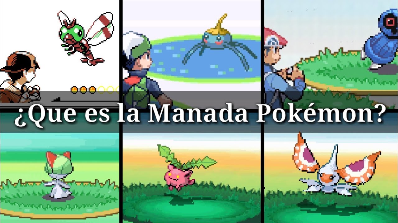 ¿Qué es la Manada Pokémon? Pokemon Manada Datos y Curiocidades.