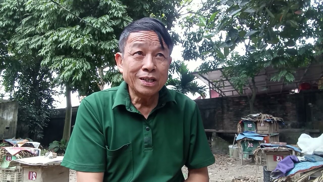 Cách tạo 2 hoặc 3 chúa trên một đàn ong.