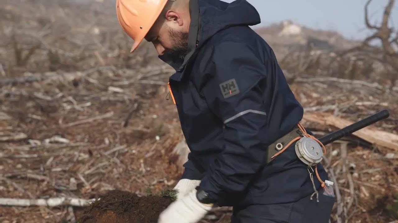 Bacher Work Wear / HELLY HANSEN arbejdst&oslash;j