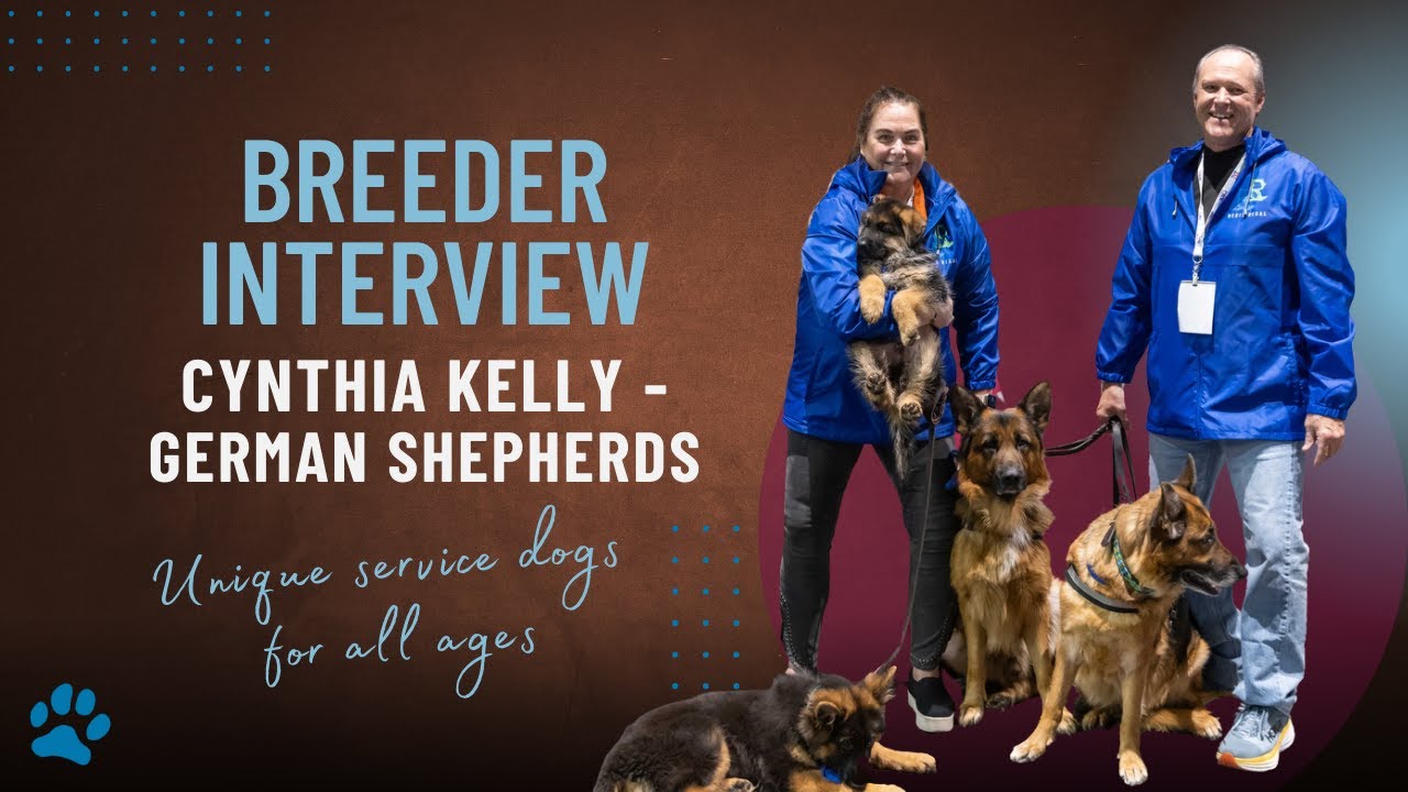 12 Days of Breeders 2025 - Day 5 - Cynthia Kelly of Regis Regal German Shepherds