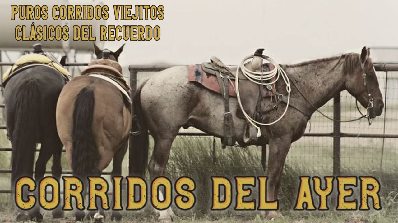 Los Mejores Corridos Norteños del Ayer 🔥 Viejitos Eternos