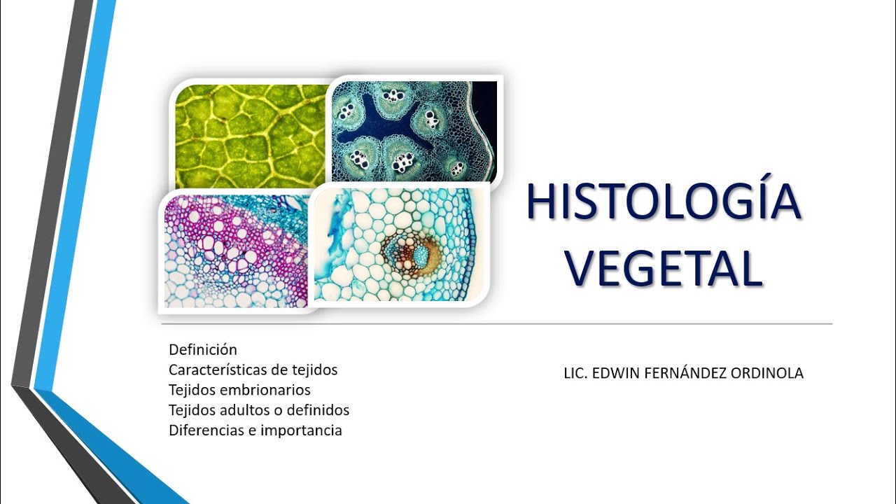 BOTÁNICA- Histología Vegetal