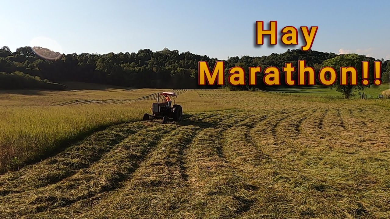 Hay Season 2025 | A Look Back at Our Most Productive Summer Part 1