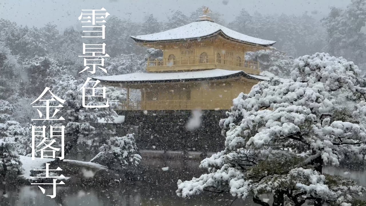 2025年2月24日 外国人観光客は絶賛❗️雪景色の京都金閣寺を歩く Walking around Kinkakuji Temple in the snow 【4K】