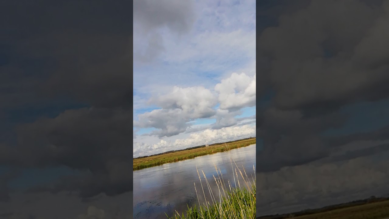 Skjern &Aring; /Skjern River by: Letecia Jensen Oct. 15, 2020