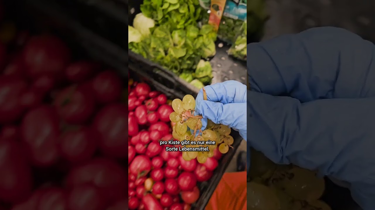 So sortieren wir Obst & Gemüse bei den Tafeln!