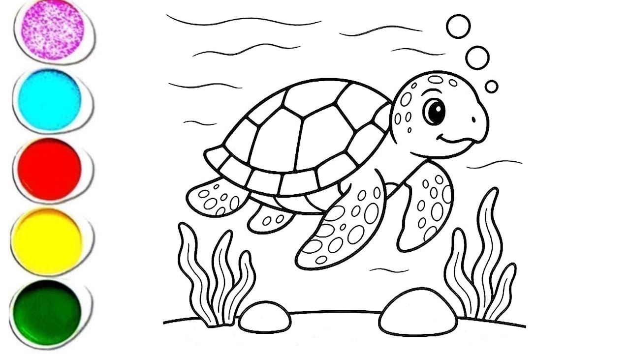 Tortoise 🐢  Drawing,  Coloring For Kids and Toddlers_ Easy Drawing