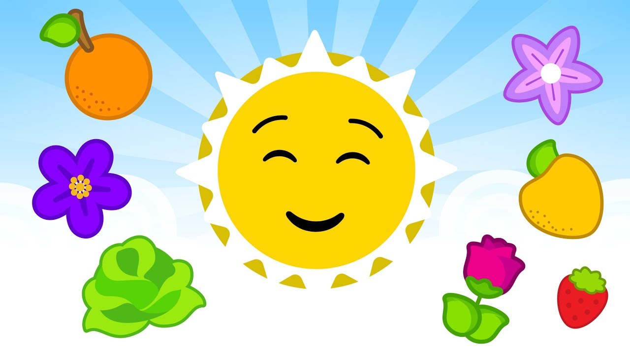 El Sol Con Su Pincel 🌞 Canciones Infantiles | Plim Plim