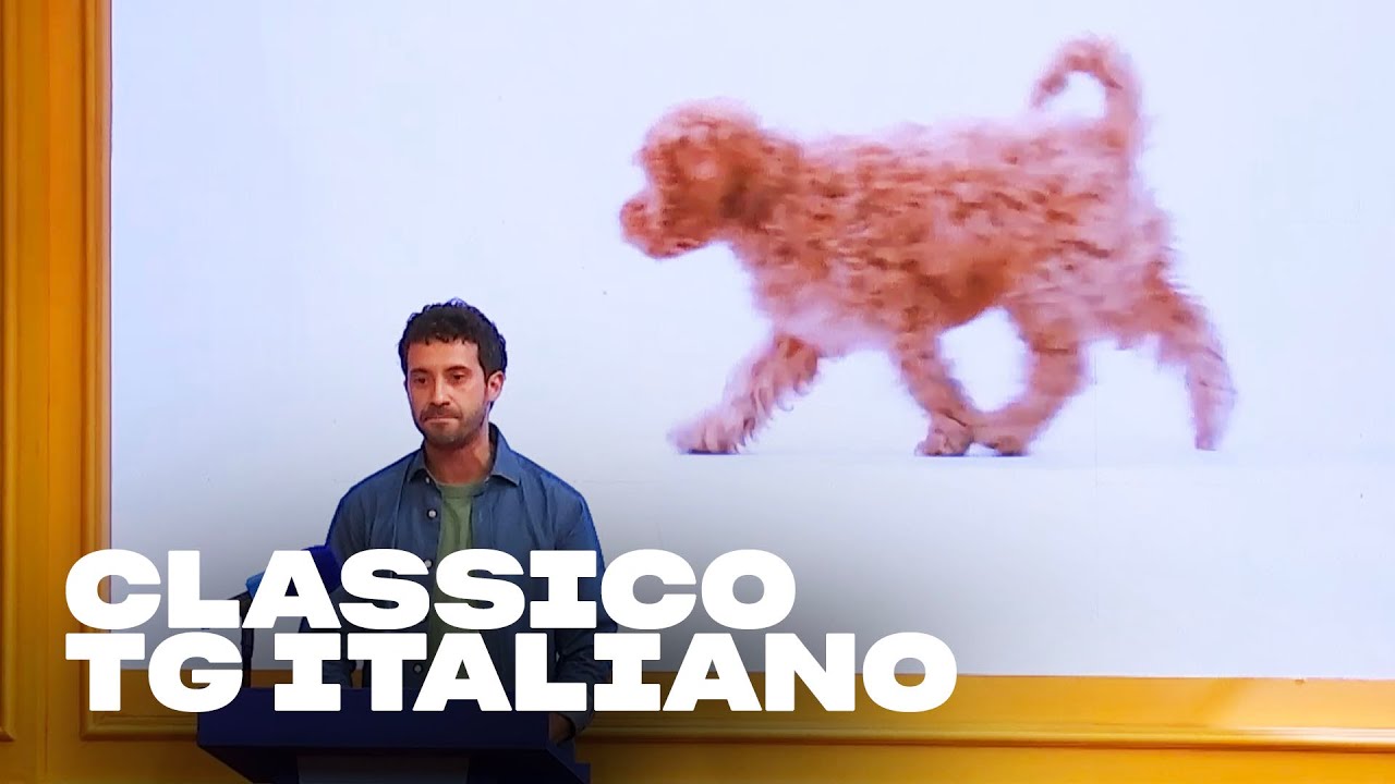 Il TG di EDOARDO FERRARIO | LOL: Chi ride è fuori - S4