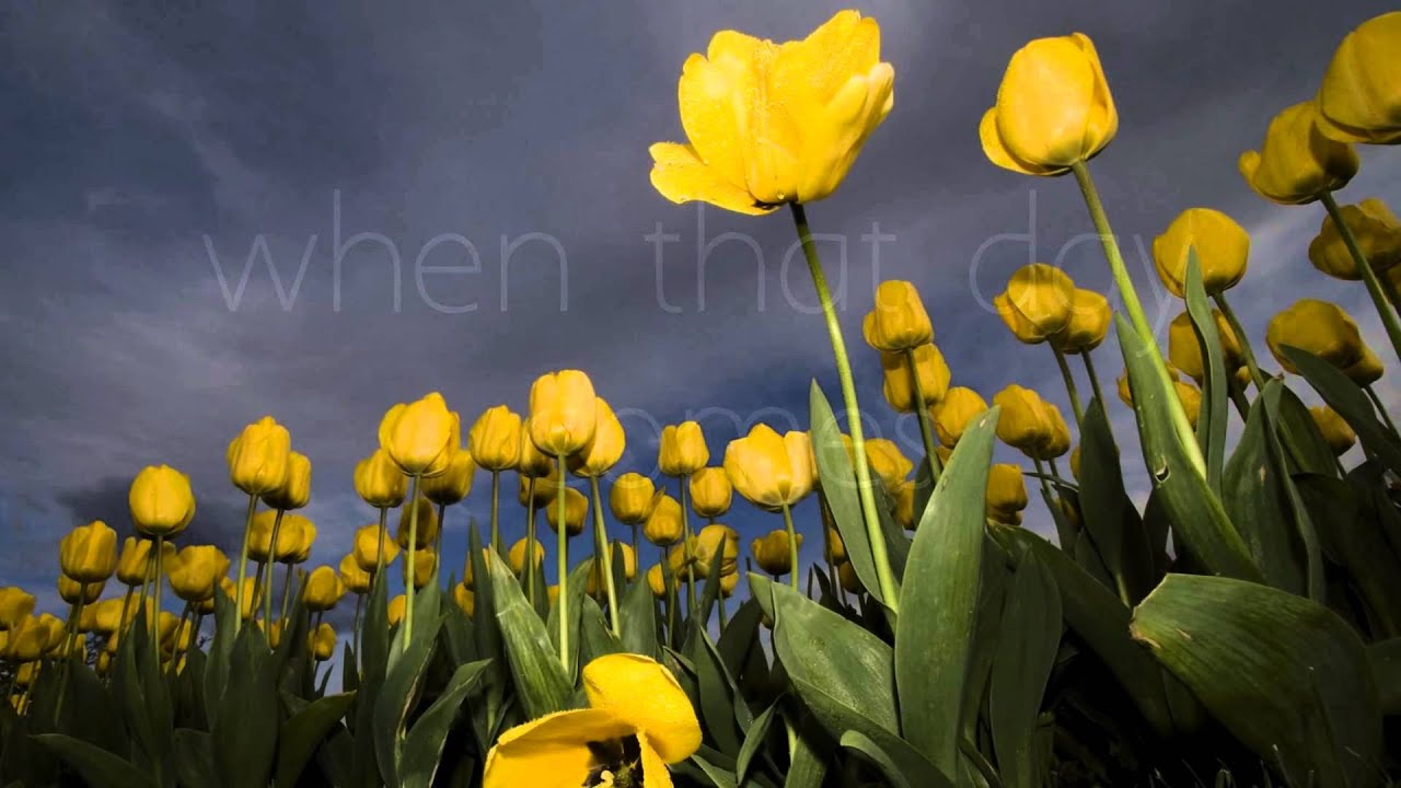 I Can Only Imagine - MercyMe (Lyrics Video) (HD)