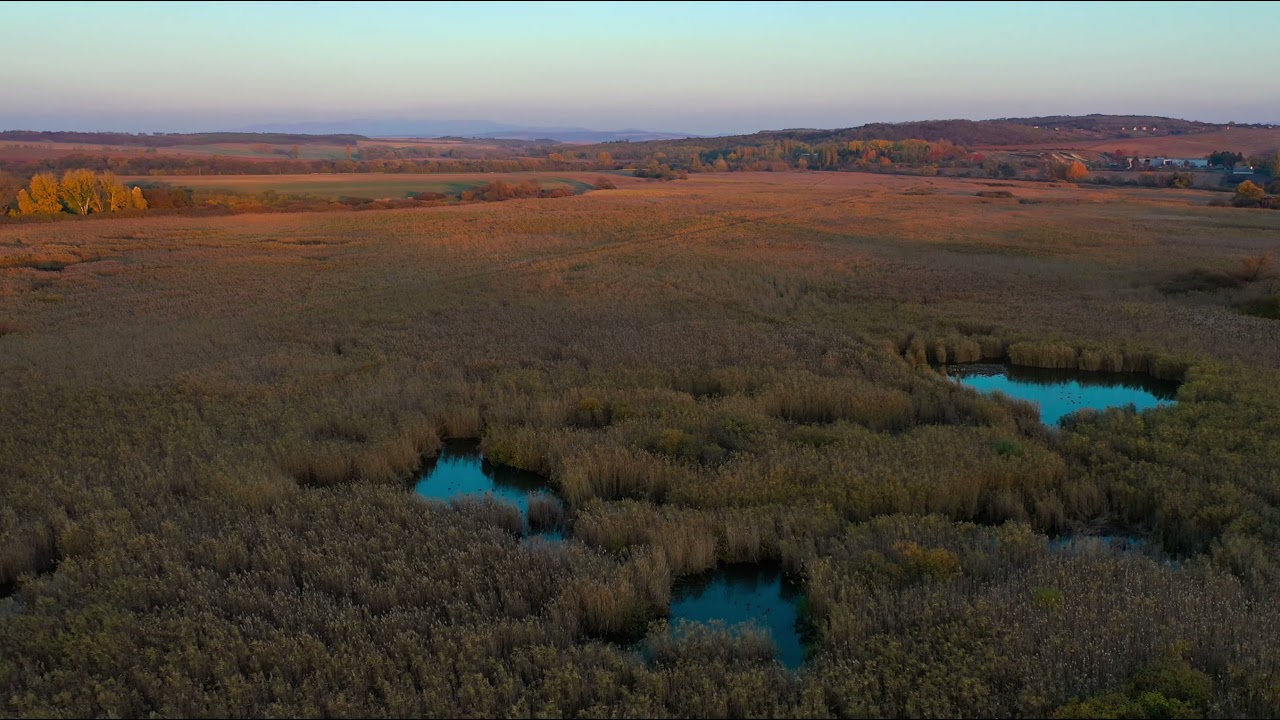 Gbelce -  Parížske močiare