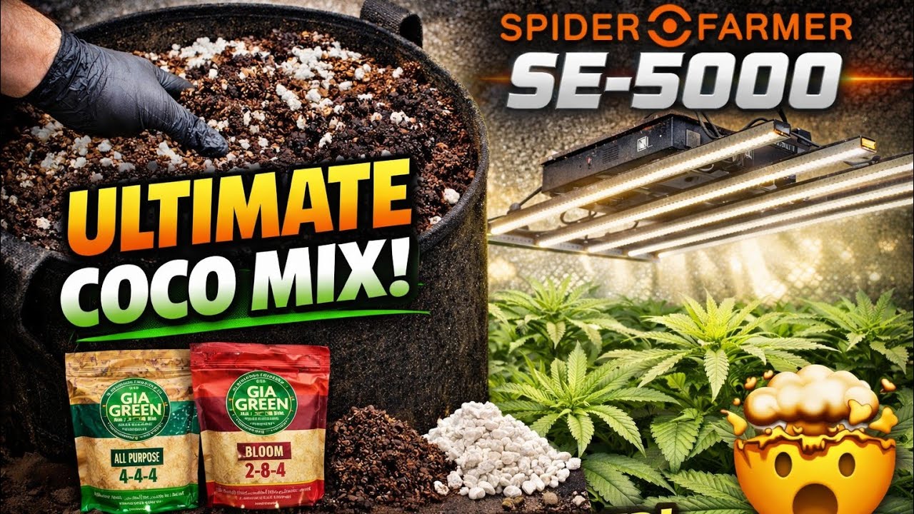 Don&rsquo;t Start a Grow Without This Coco Mix | SpiderFarmer SE-5000