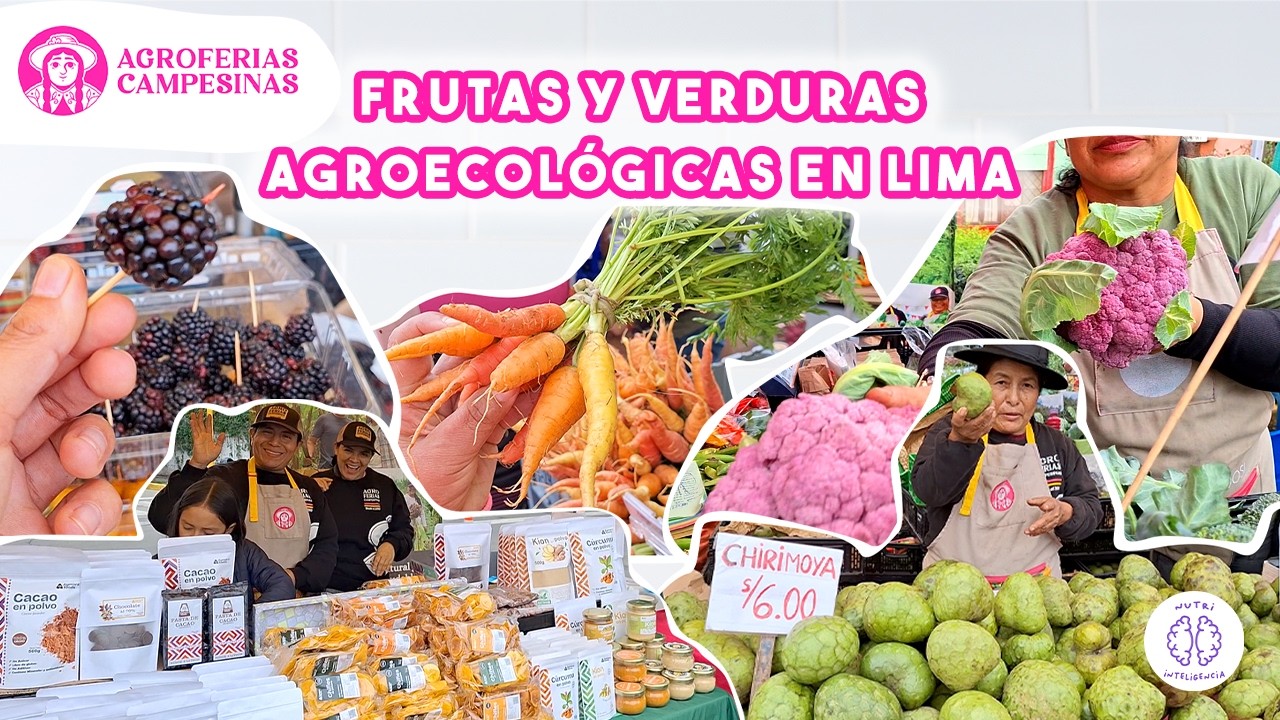 Dónde Comprar Frutas Verduras Ecológicas en Lima 🌱 | Agroferias Campesina Magdalena 2025