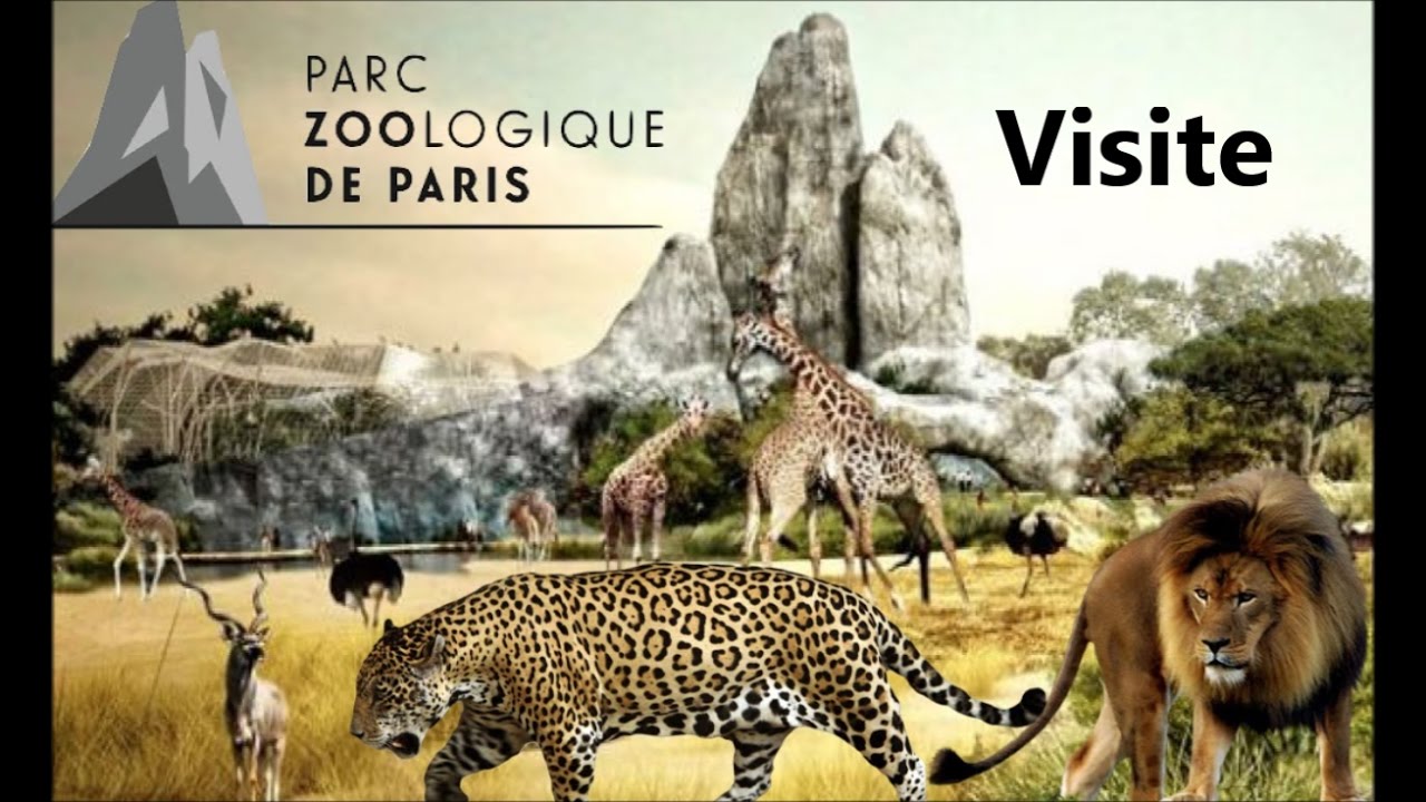 Visite du zoo de Vincennes