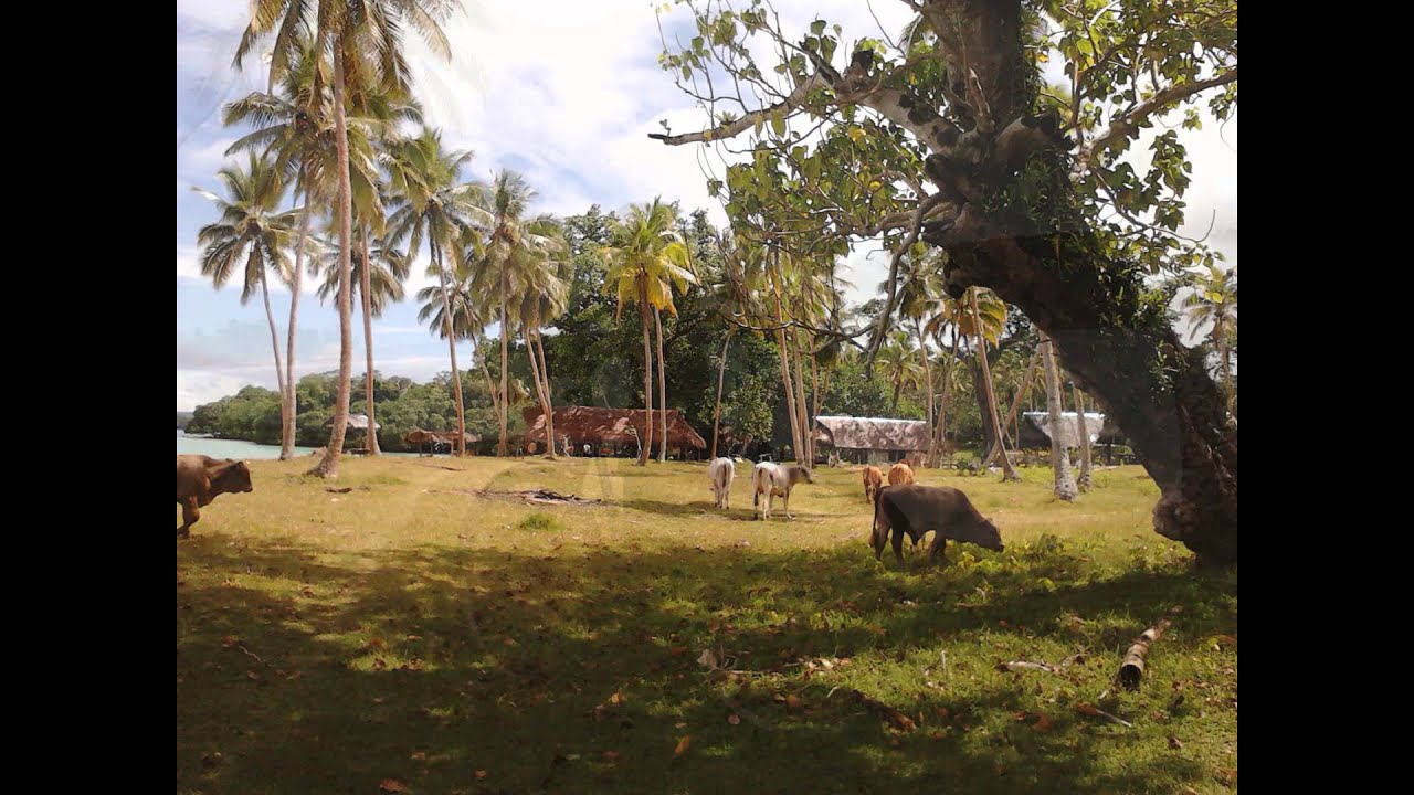 PORT OLRY-THE UNTOUCHED PARADISE
