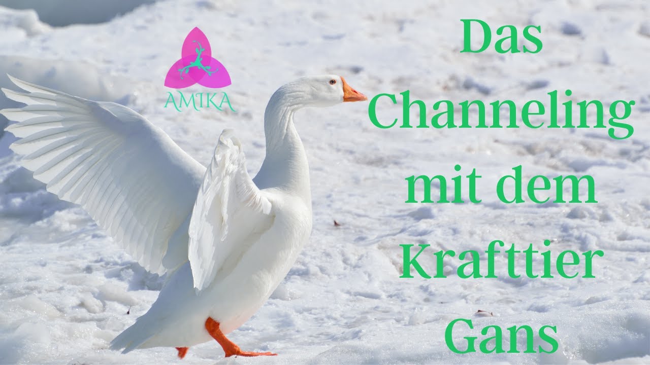 Krafttier Channeling Gans
