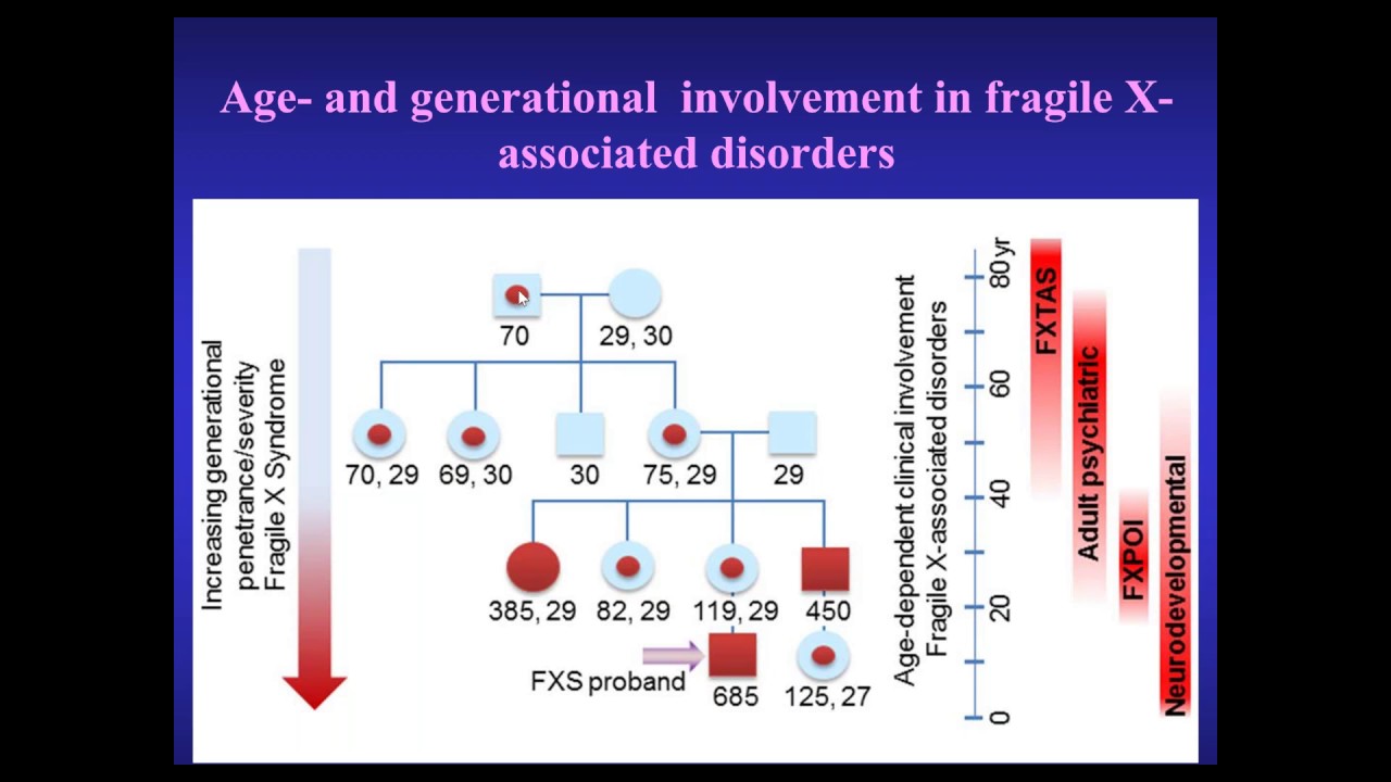 Fragile X Premutation w  Dr. Randi Hagerman