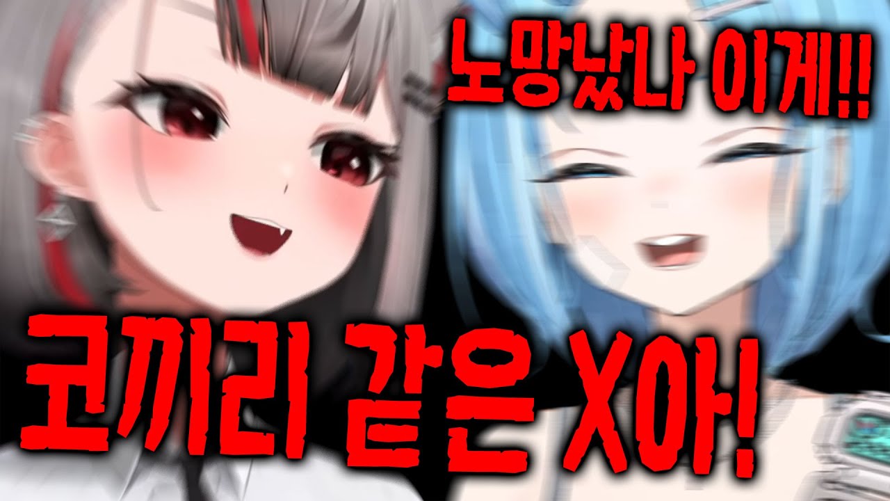 [스텔라이브] 봉누도 마지막날까지 서로 막말하며 치고박고 싸우는 시로와 타비