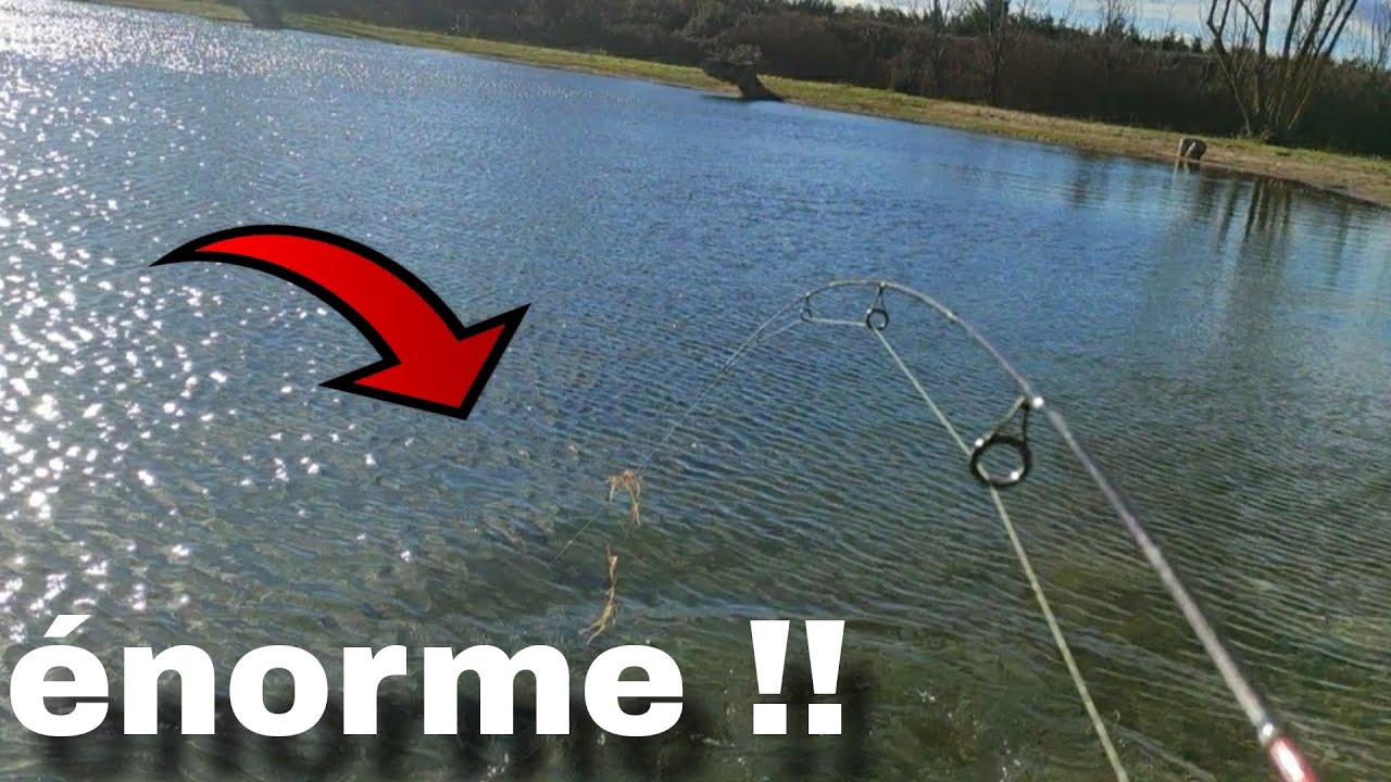 Une grosse truite de 70 cm au leurre !