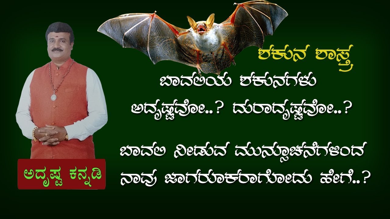 Shakuna Shastra of Bats | Indicators Of An Auspicious Shakuna : Adrustaa Kannadi