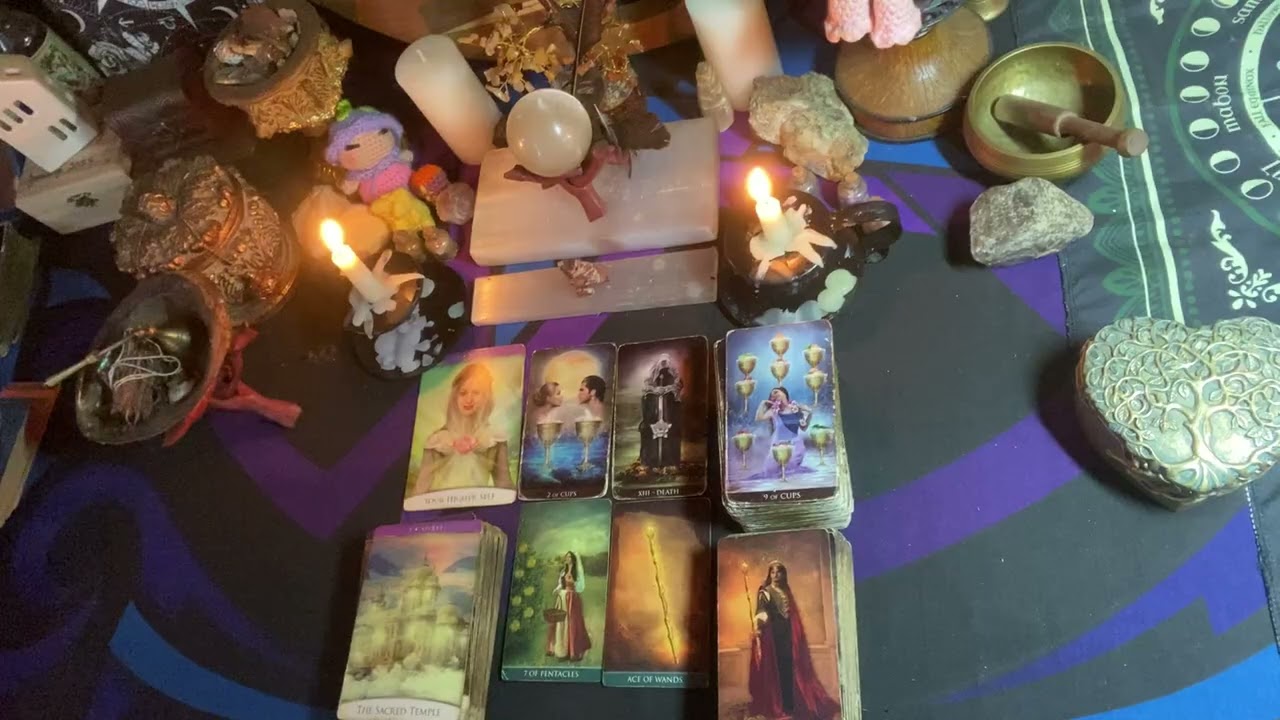 ♌️Leo Weekly Reading 2/2~8/26♌️✨Personal Reading?✨visit https://perrymore-tarot.square.site