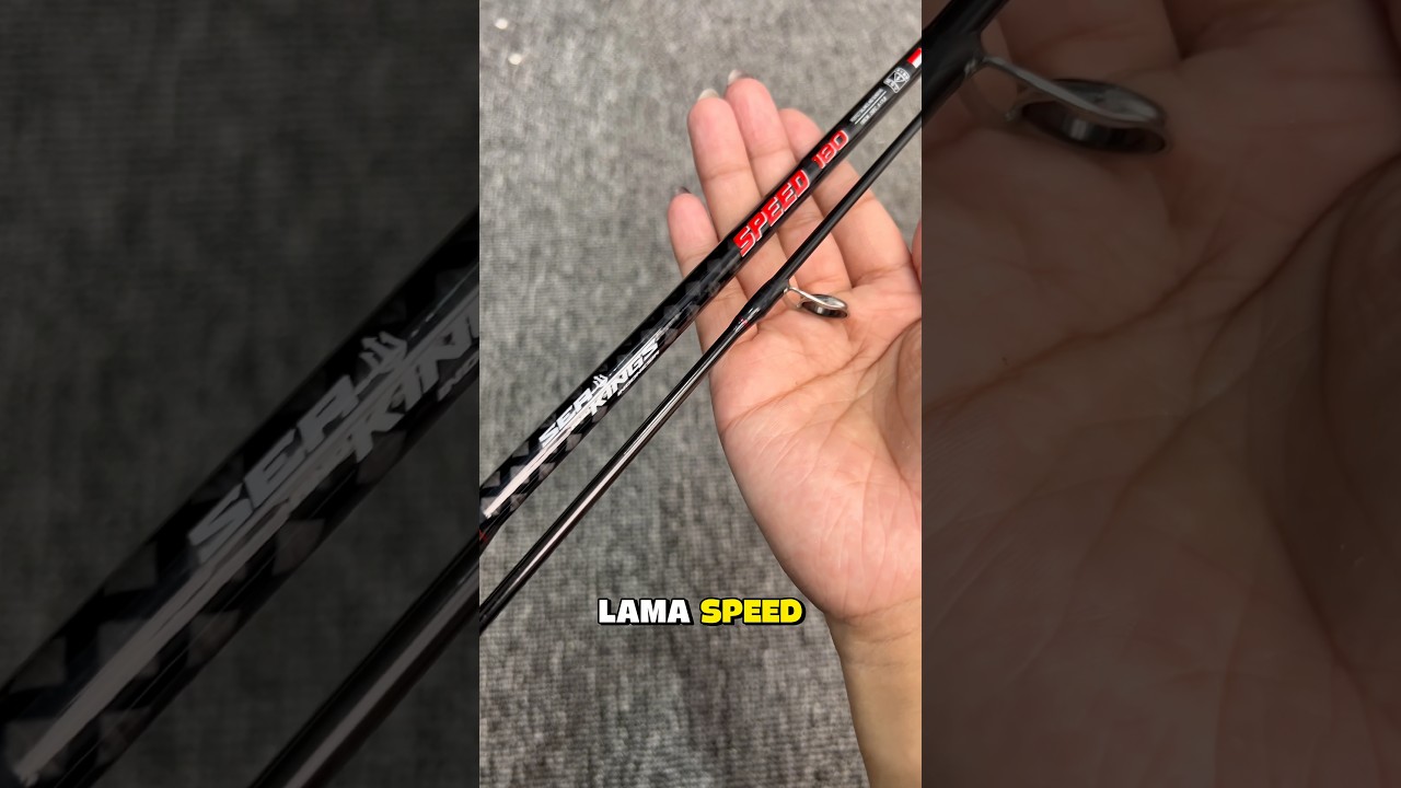 SPEED KEMBALI LAGI!