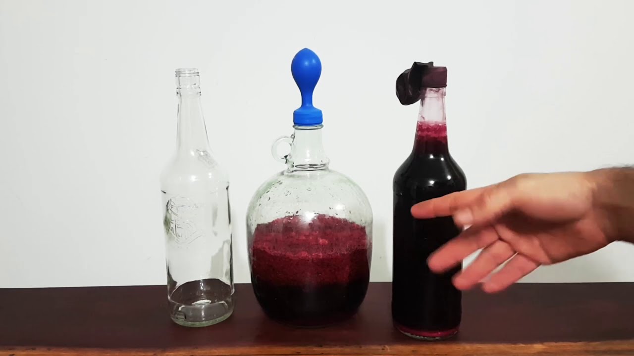 Vino Orgánico de Mora