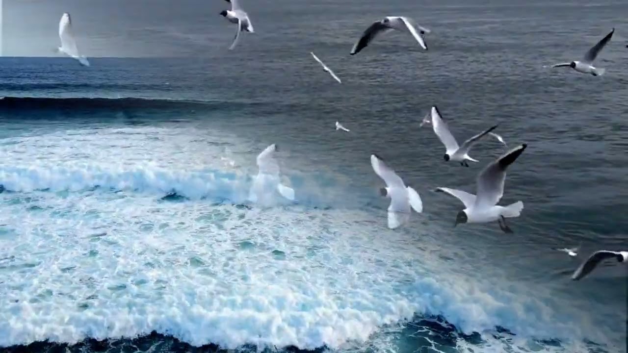 Ostseebad Ahrenshoop auf dem Fischland Darß - Zingst