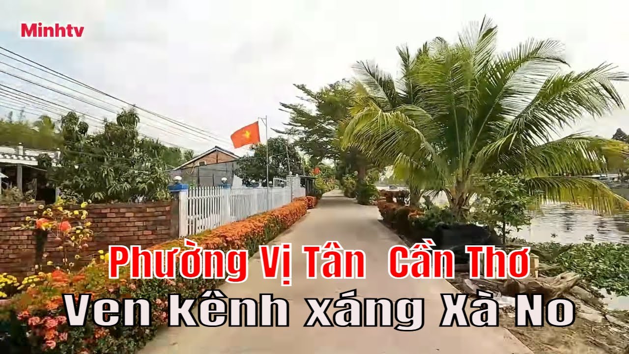 Khám Phá Phường Vị Tân Thành Phố  Cần Thơ Ven Kênh Xáng Xà No  Cuộc Sống Miền Tây Bình Yên .