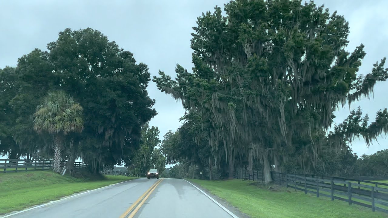 Ocala Horse Country Drive