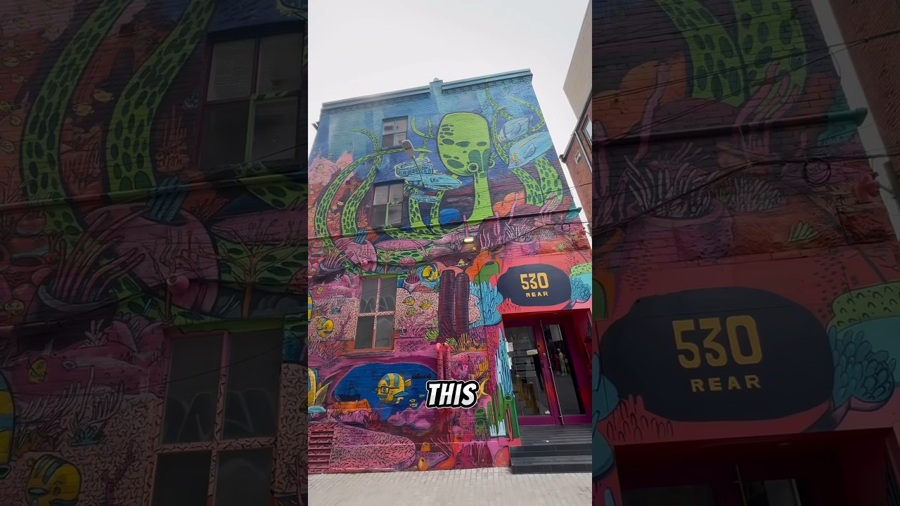 Street Art or Vandalism? Graffiti Alley in Toronto! #travel #travelvlog #toronto #canada