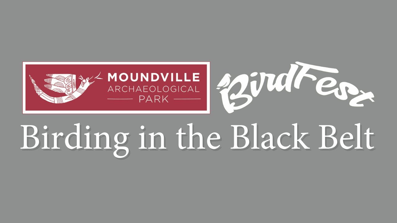 Birdfest: Birding in the Black Belt (with Meg Ford of the Alabama Audubon)