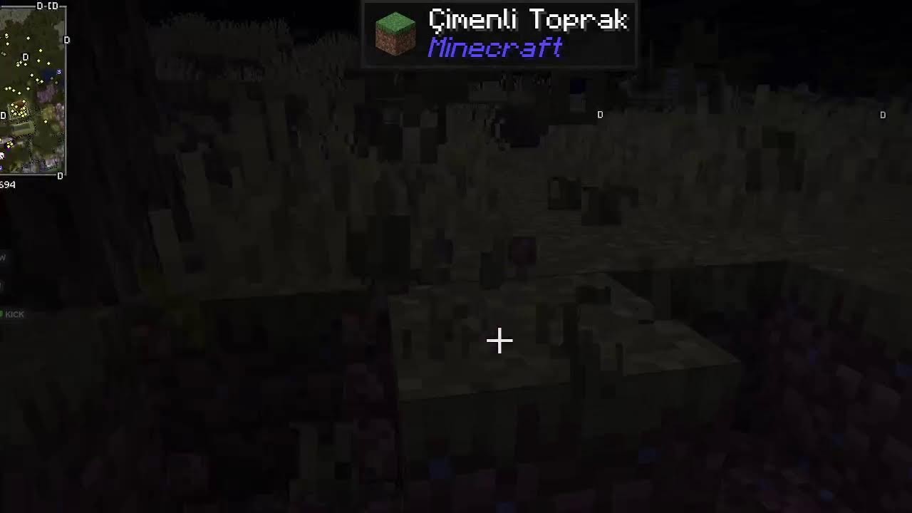 MINECRAFT