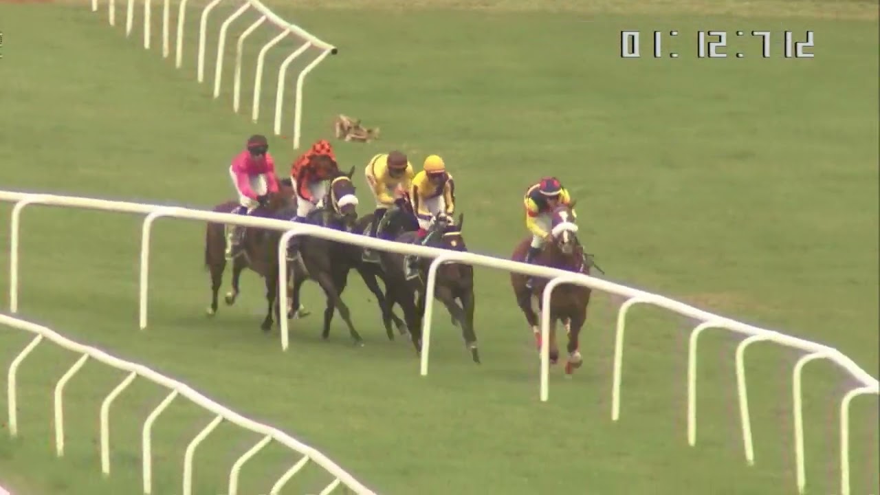 IN CONTENTION with A Sandesh  up wins The Yana Plate 2022