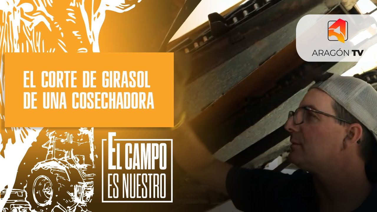 El corte de girasol de una cosechadora | Eduardo Luna