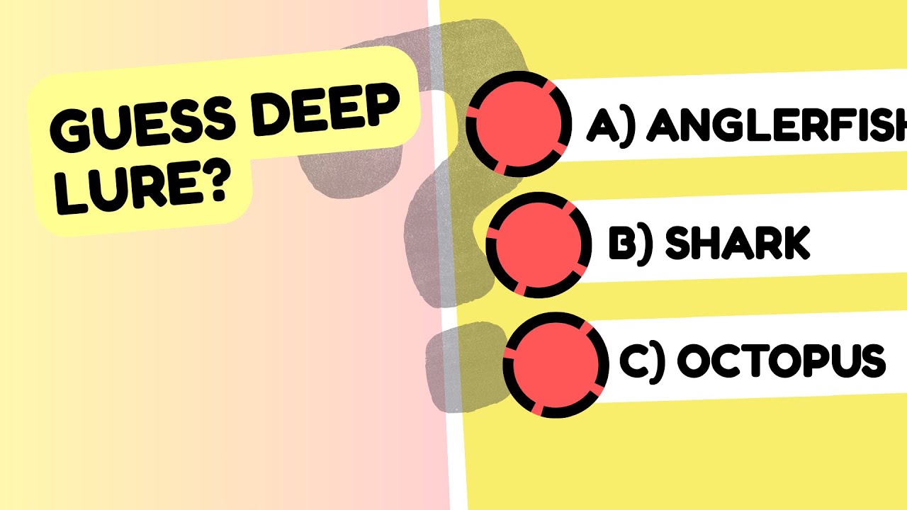 How Well Do You Know Deep Sea Creatures? Test Your Ocean IQ Now! 🌊🐙 #shorts