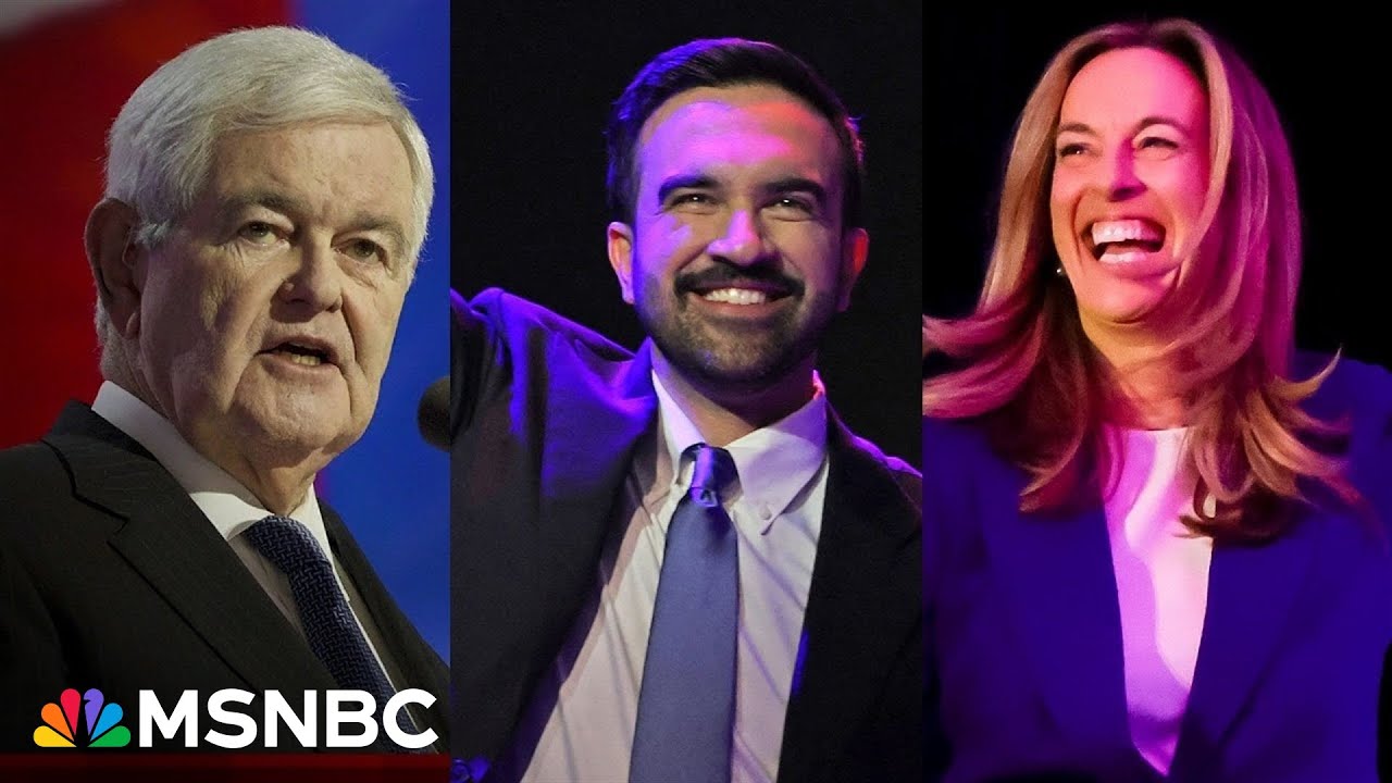 'We had a bad night': Newt Gingrich warns Republicans have a problem after election defeats