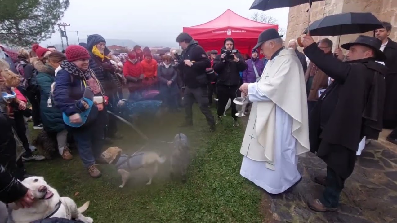 Romeria  de San Anton en Ermita La Nave(Burgos)